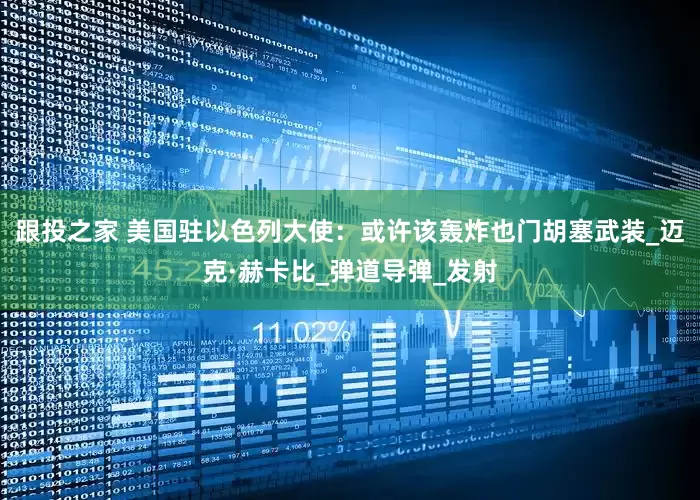 跟投之家 美国驻以色列大使：或许该轰炸也门胡塞武装_迈克·赫卡比_弹道导弹_发射