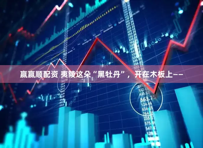 赢赢顺配资 夷陵这朵“黑牡丹”，开在木板上——