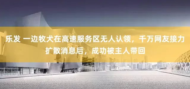 乐发 一边牧犬在高速服务区无人认领，千万网友接力扩散消息后，成功被主人带回