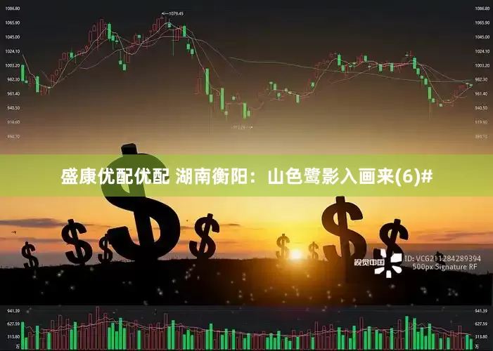 盛康优配优配 湖南衡阳：山色鹭影入画来(6)#